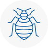 Bed Bug Extermination In Prudhoe