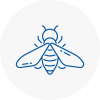 Bee Nest Removal Prudhoe