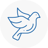 Bird Prevention Prudhoe