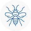 Prudhoe Hornet Nest Removals