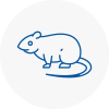 Rat Control Prudhoe