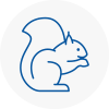 Prudhoe Rodent Removals